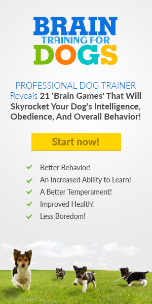 Banners for Brain Training for Dogs