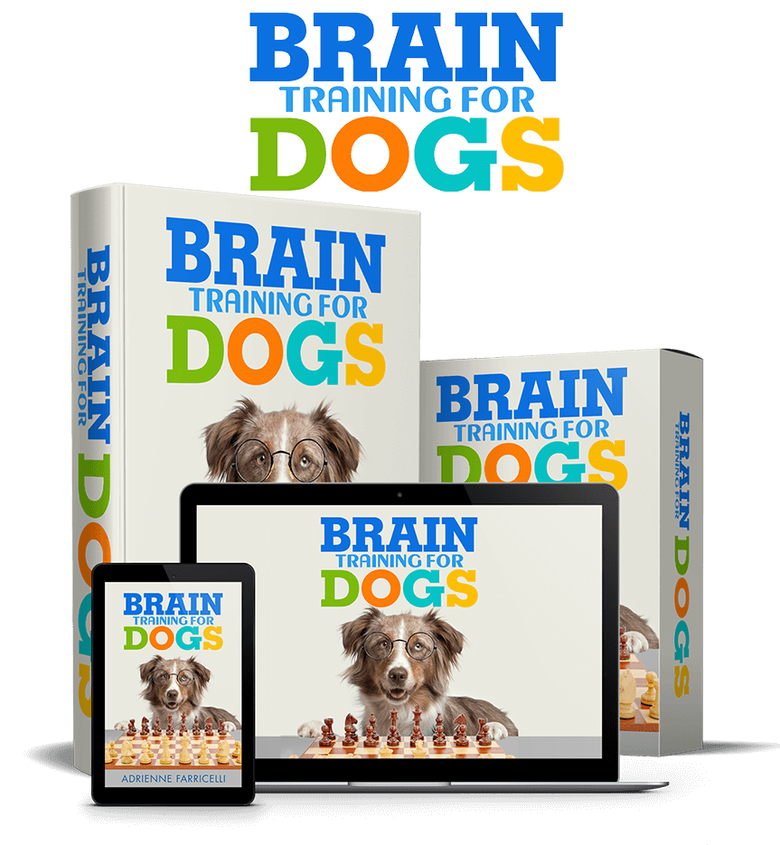 Unlock Your Dog’s Hidden Intelligence with Brain Training