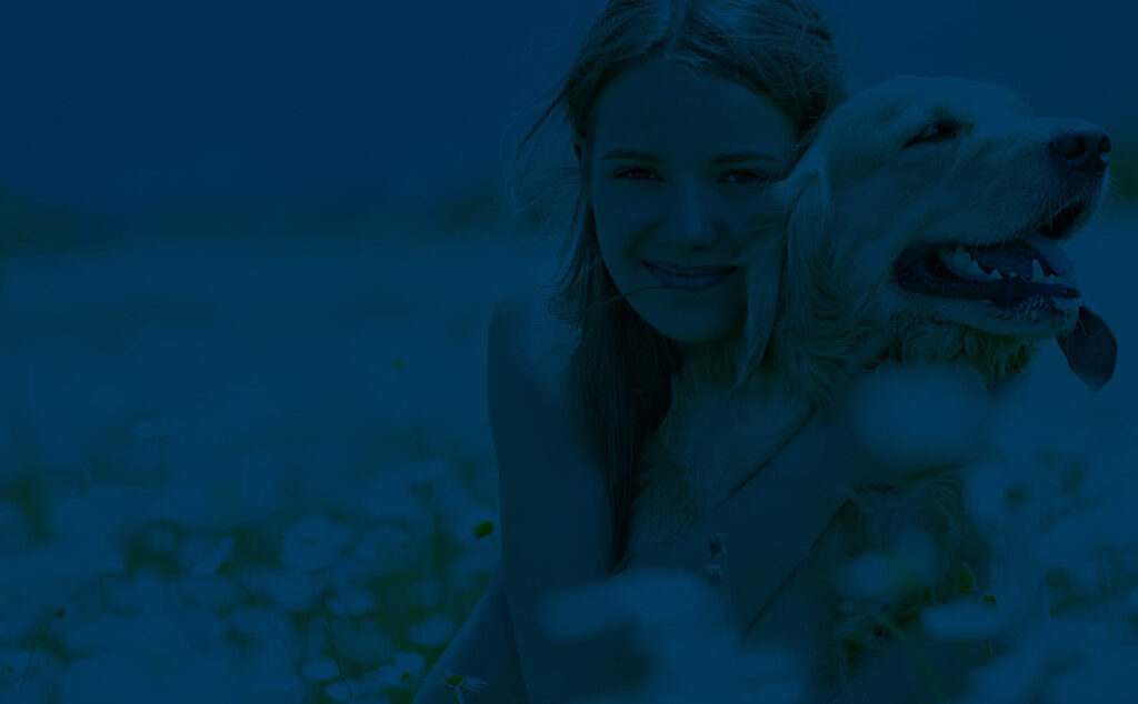 Unlock Your Dogs Hidden Intelligence with Brain Training