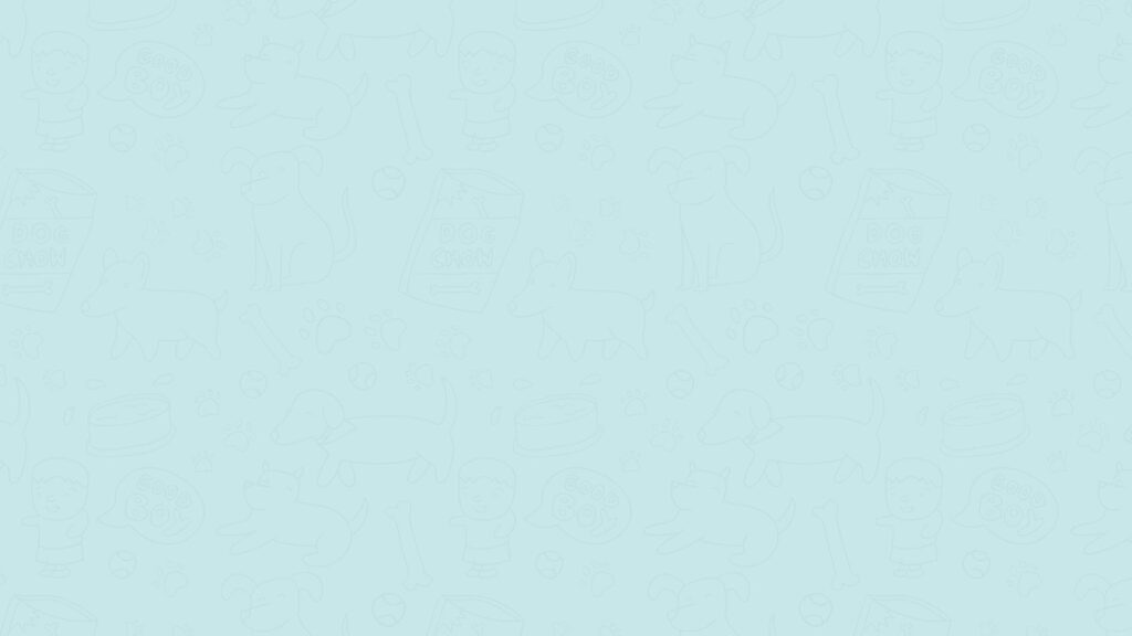 Unlock Your Dogs Hidden Intelligence with Brain Training