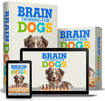 Unlock Your Dogs Hidden Intelligence with Brain Training