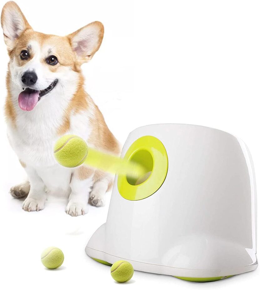 AFP Automatic Ball Launcher for Dogs Interactive Puppy Pet Ball Indoor Thrower Fetch Machine, 3 Balls Included (2 inch) for Small Size Dogs