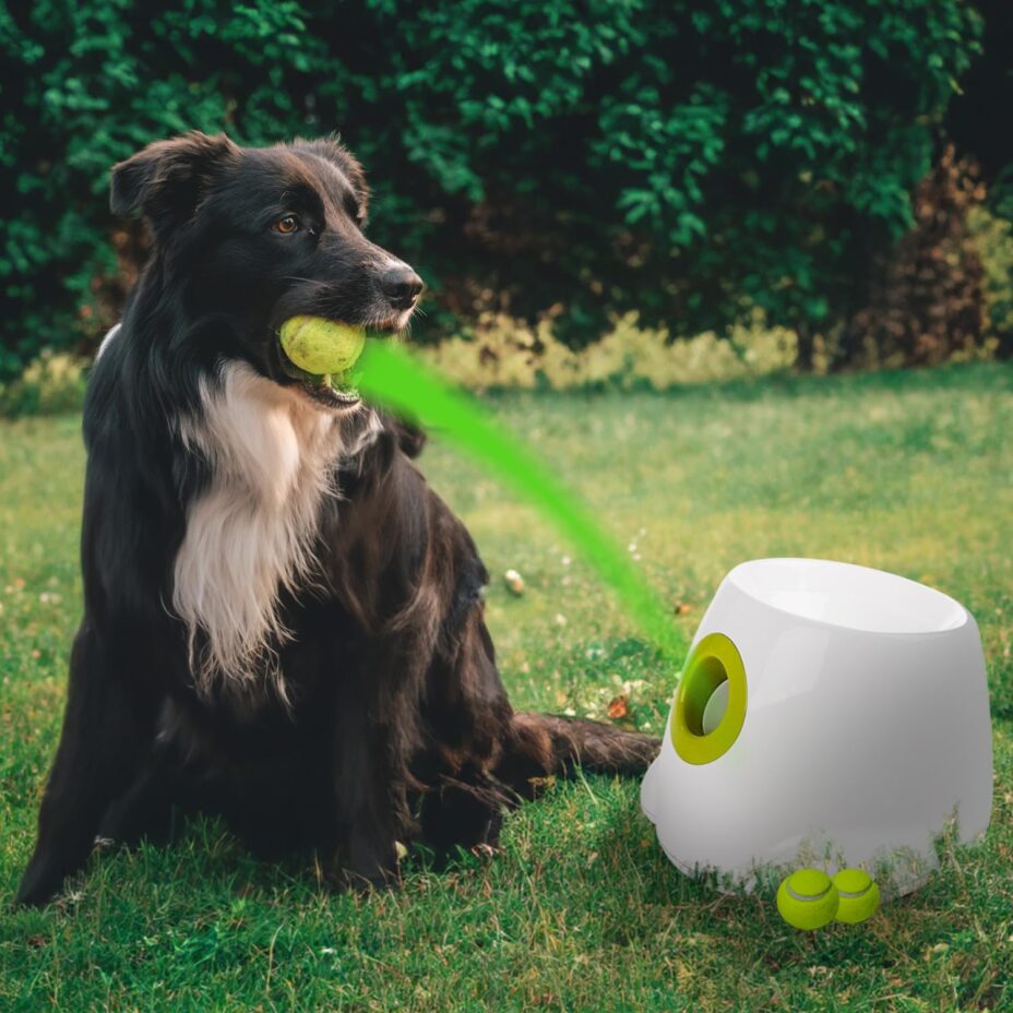 ALL FOR PAWS Automatic Ball Thrower for Dogs, Interactive Dog Ball Launcher Machine, rechargeable Fetch Toy with 3 Tennis Balls Included, Adjustable Launch Distance, Ideal for Medium and Large Dogs