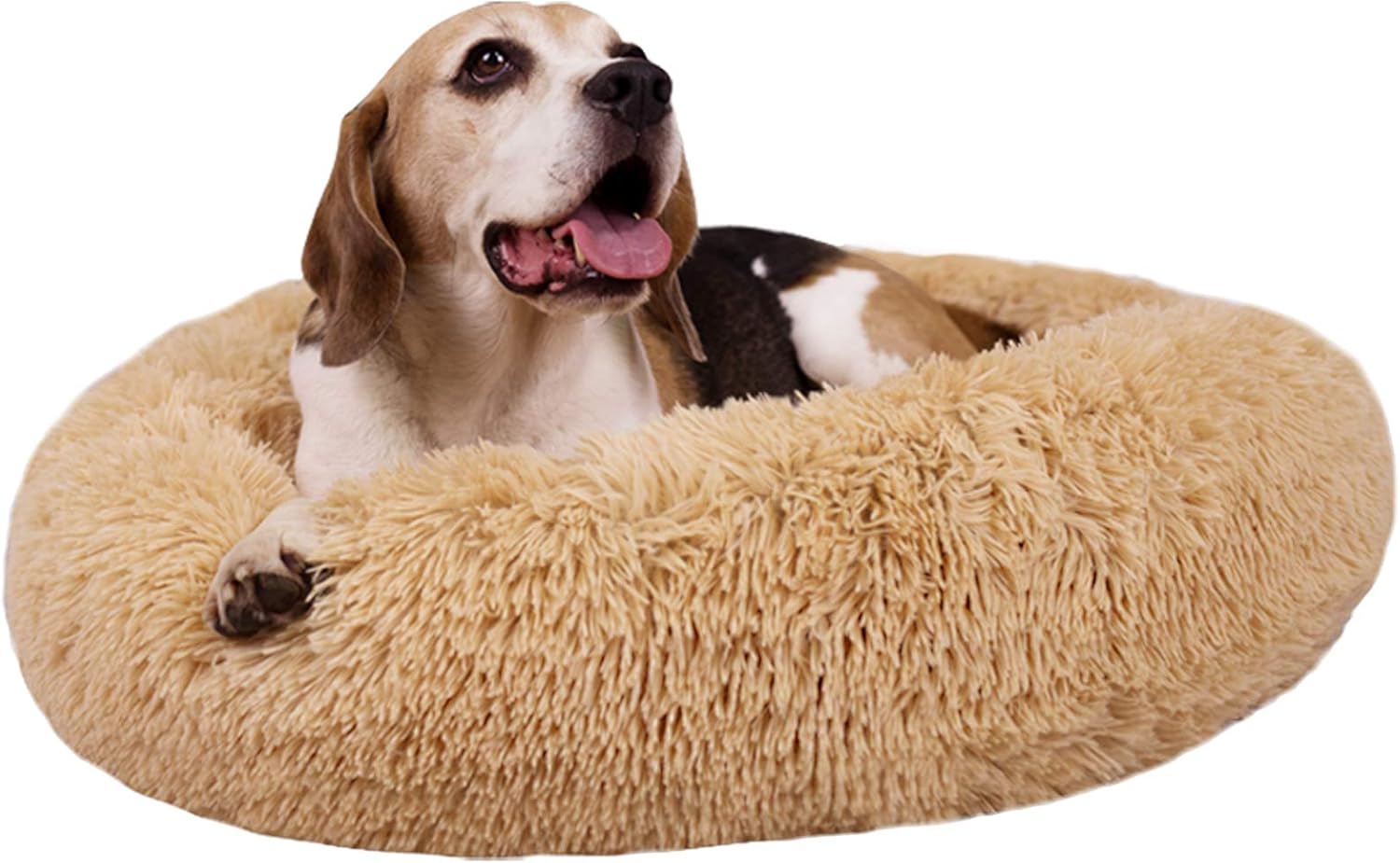 MFOX Calming Dog Bed Review