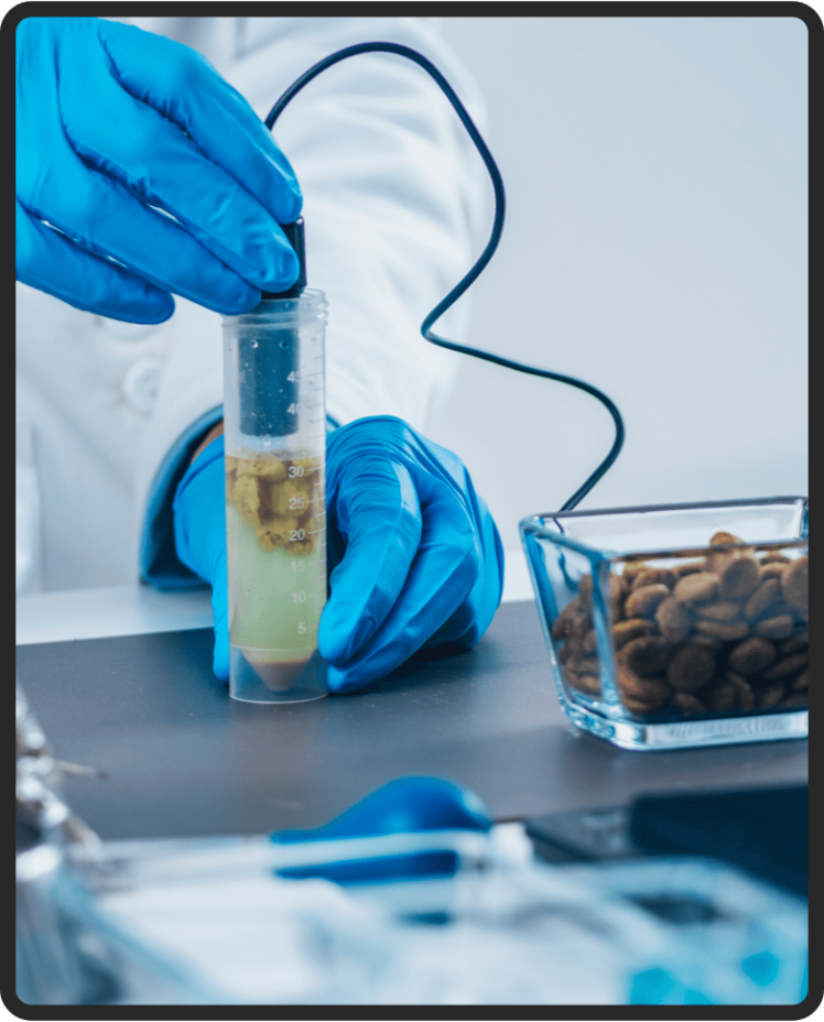 Scientific Background: How UltraK9 Pro Tackles Harmful Hormones and Chemicals